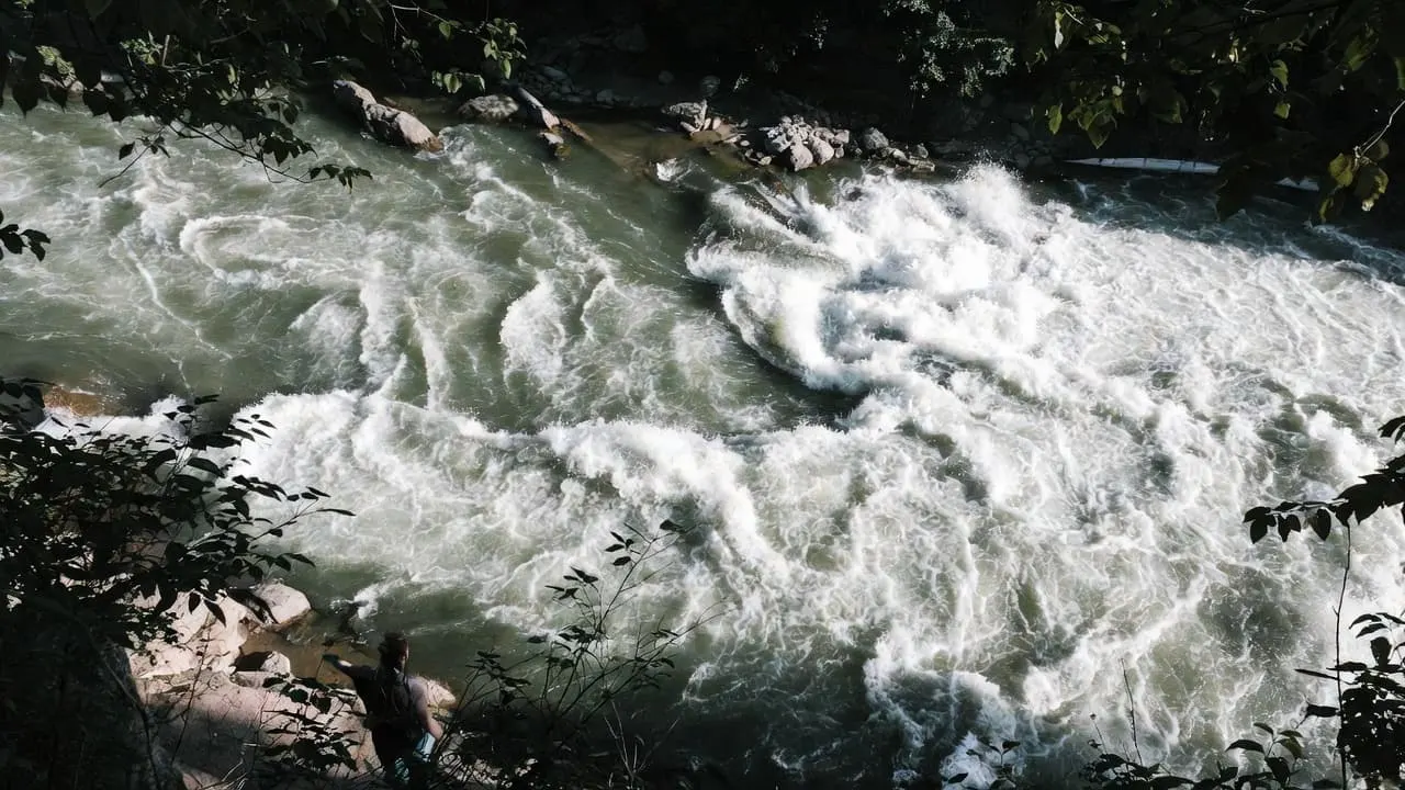 Río de aguas rápidas entre árboles al amanecer